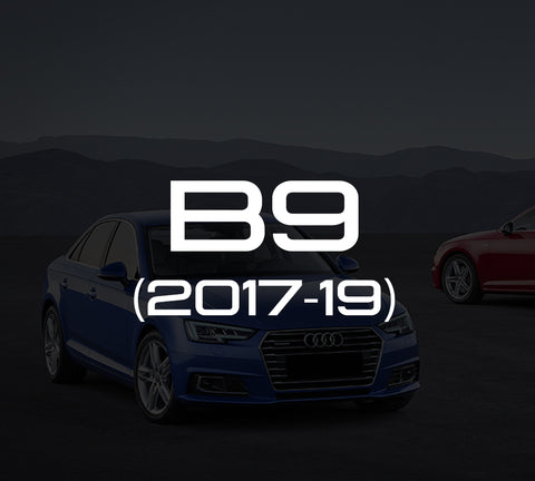 b9