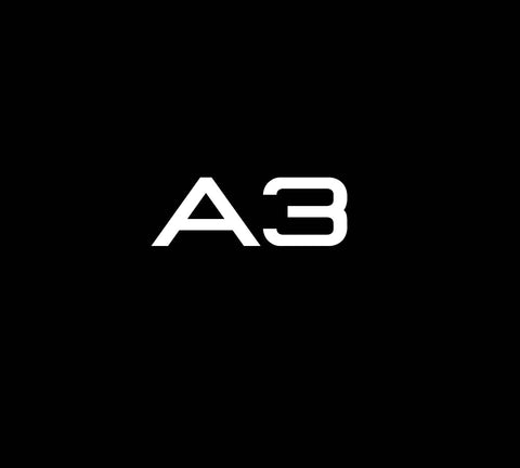 A3